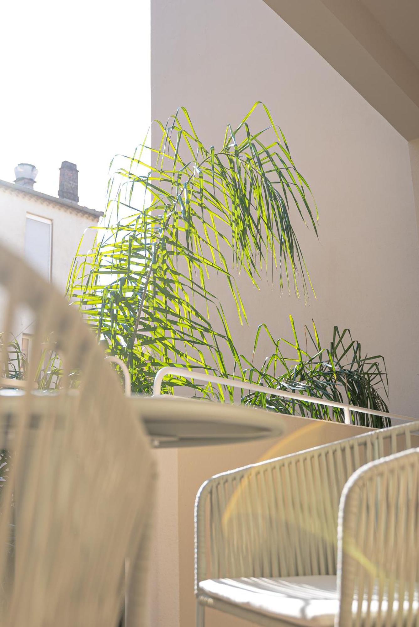 Studios Raffines Avec Terrasses - Plages, Ville Et Gare A Pied - Maison Raphael Saint-Raphaël Zewnętrze zdjęcie